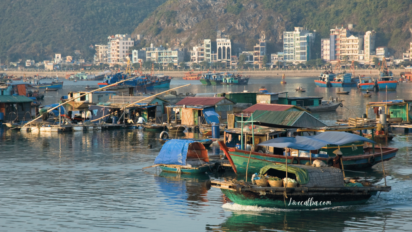 cat ba floating village