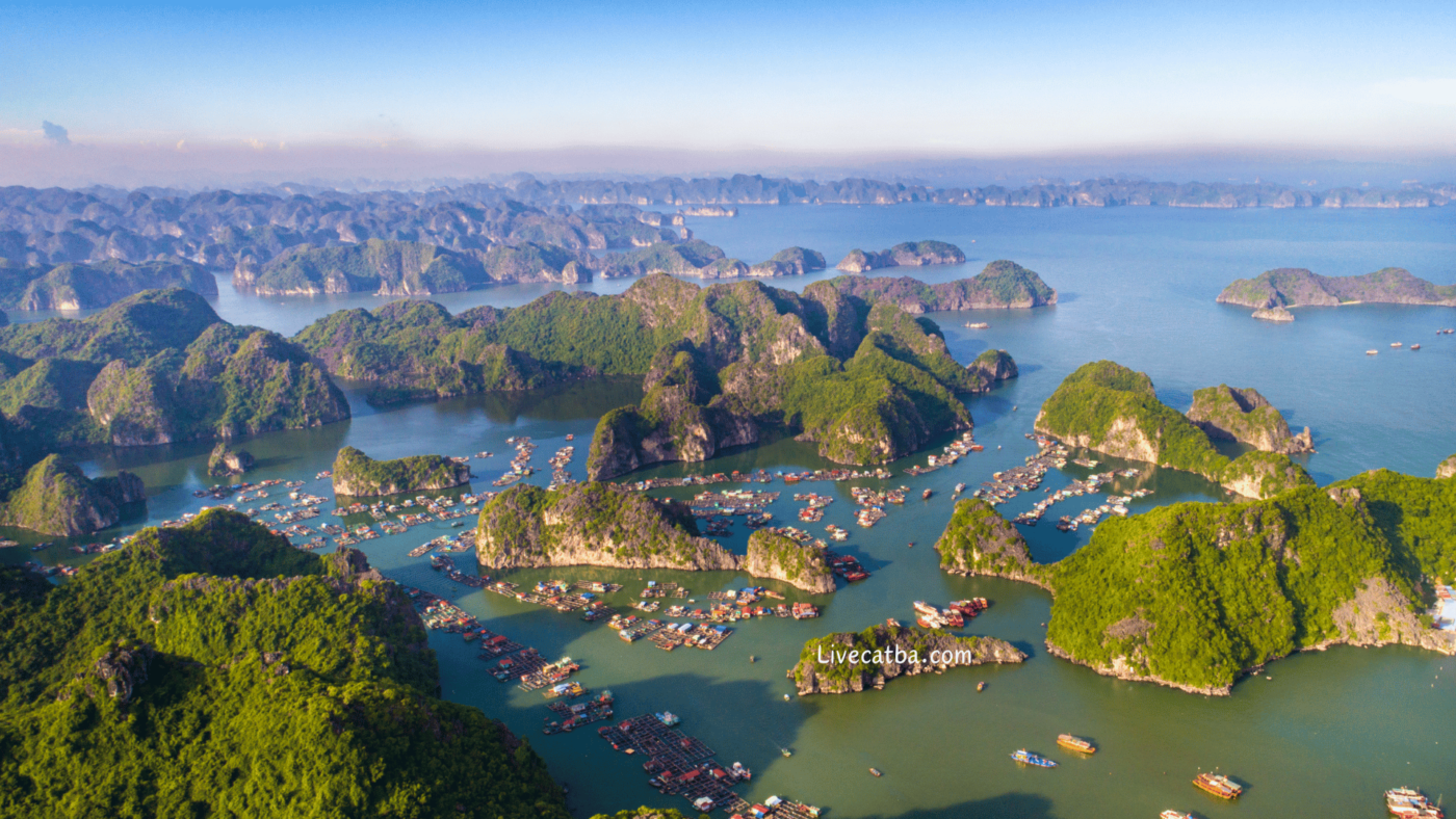 rừng quốc gia cát bà