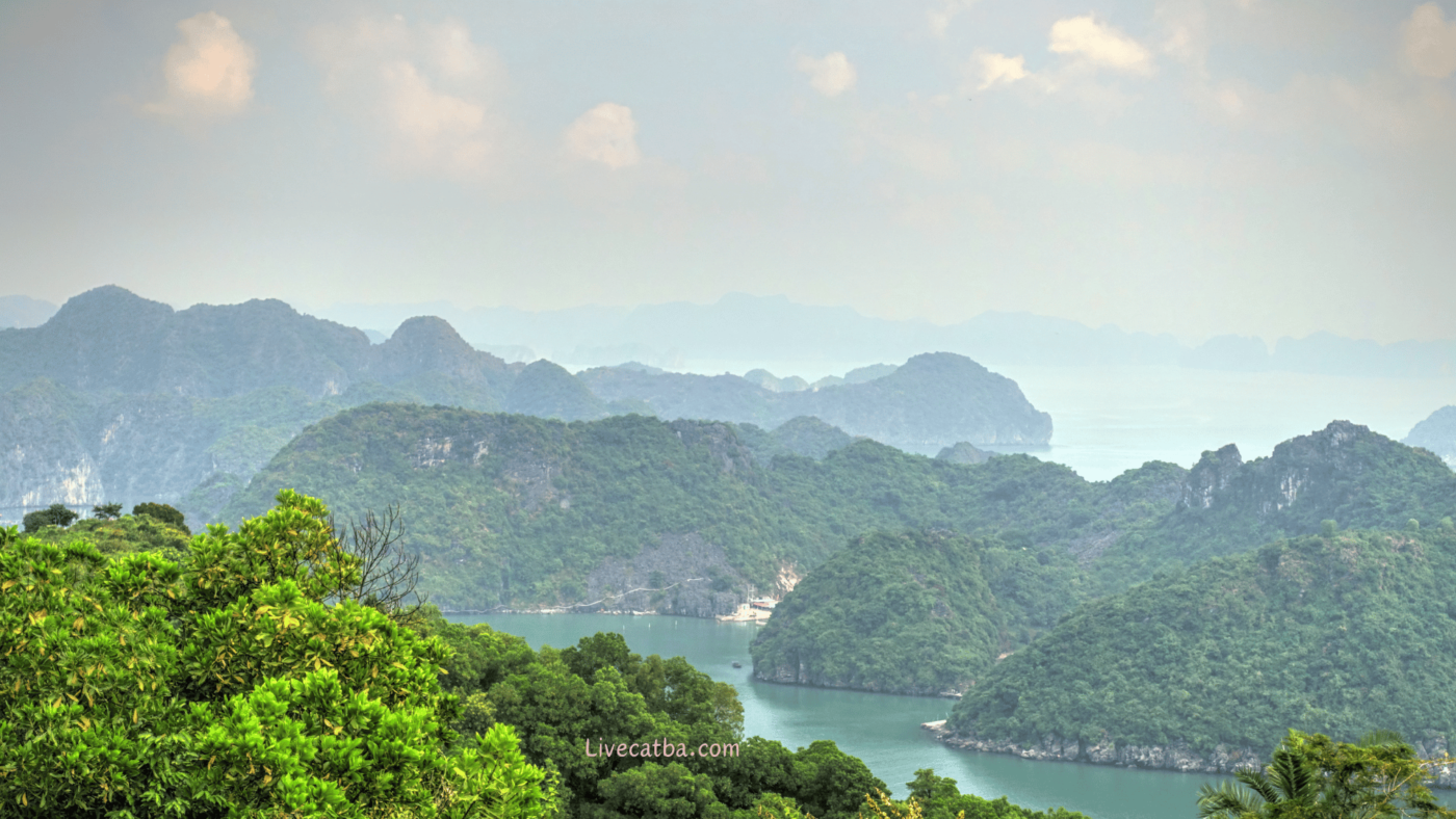 rừng quốc gia cát bà