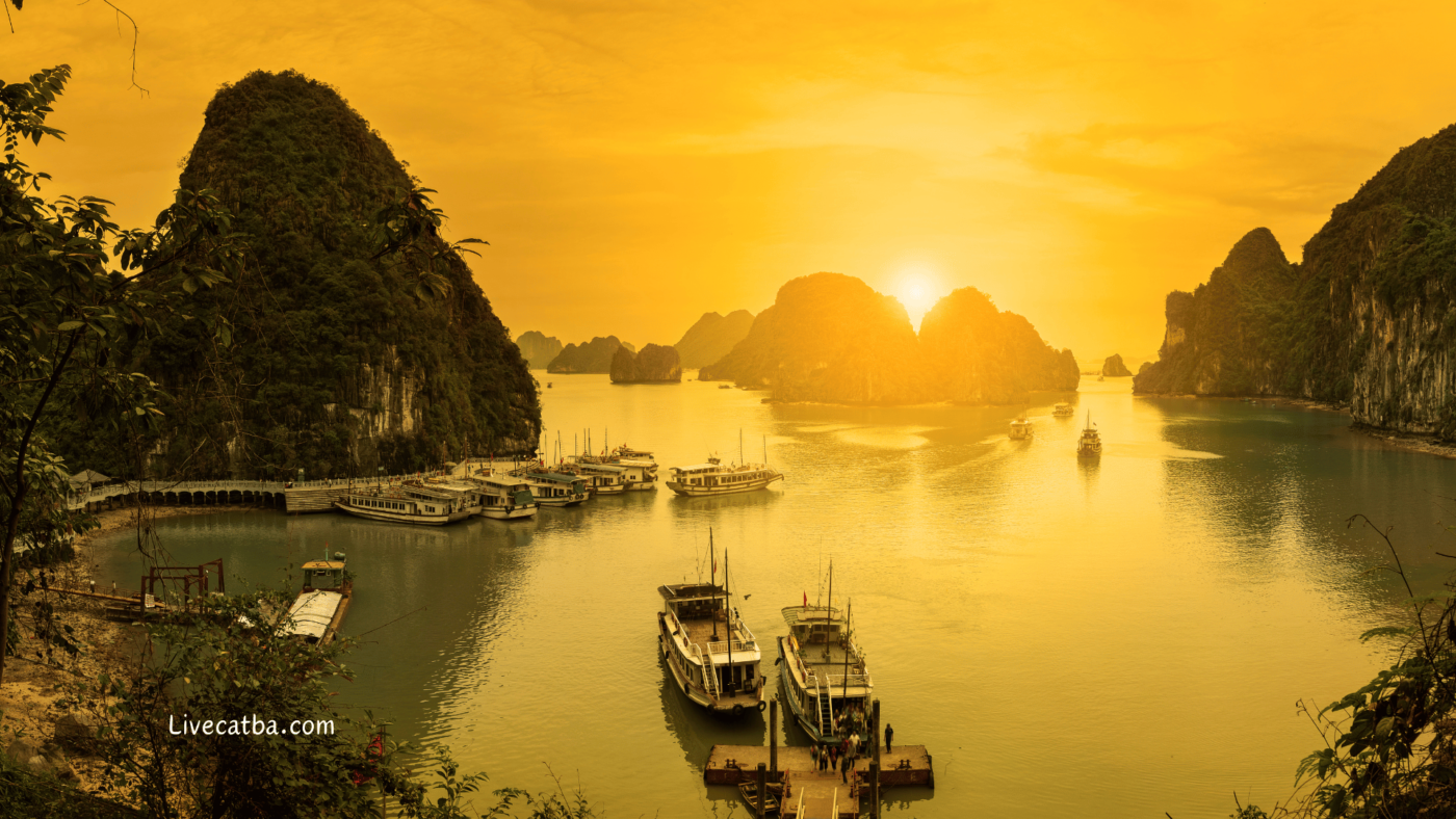 Cat ba sleeping boat