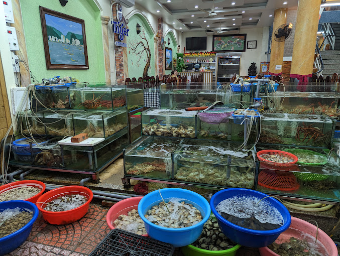 viễn dương